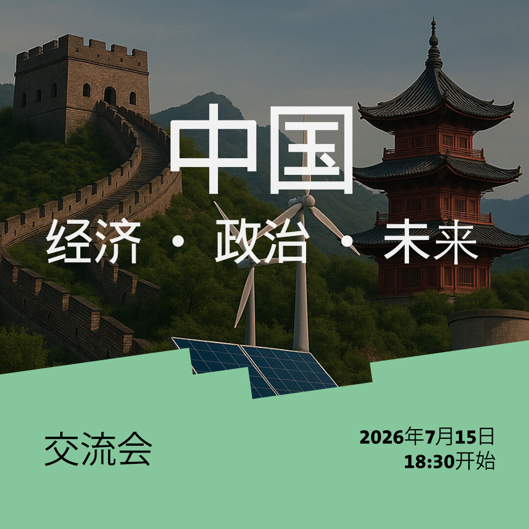 中国 经济 · 政治 · 未来 (chinesische Version)